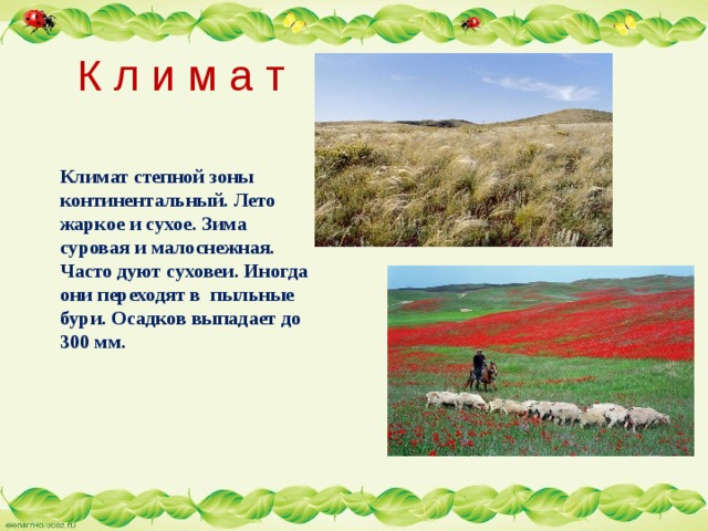 К л и м а т Климат степной зоны континентальный. Лето жаркое и сухое. Зима суровая и малоснежная. Часто дуют суховеи. Иногда они переходят в пыльные бури. Осадков выпадает до 300 мм. 