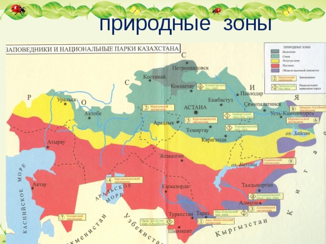  природные зоны 