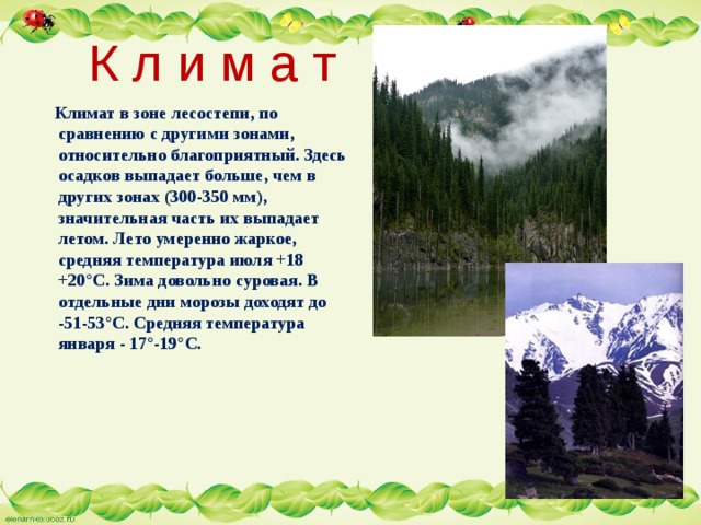 К л и м а т  Климат в зоне лесостепи, по сравнению с другими зонами, относительно благоприятный. Здесь осадков выпадает больше, чем в других зонах (300-350 мм), значительная часть их выпадает летом. Лето умеренно жаркое, средняя температура июля +18 +20°С. Зима довольно суровая. В  отдельные дни морозы доходят до -51-53°С. Средняя температура января - 17°-19°С. 