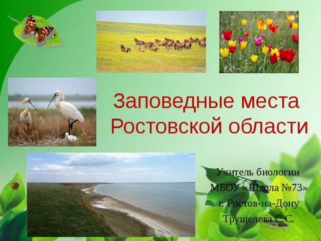 Заповедные места  Ростовской области Учитель биологии МБОУ «Школа №73» г. Ростов-на-Дону Трущелева С.С. 