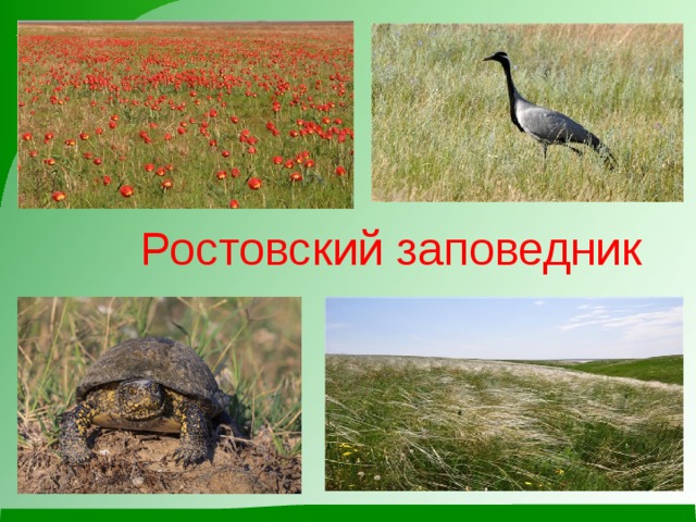 Ростовский заповедник 