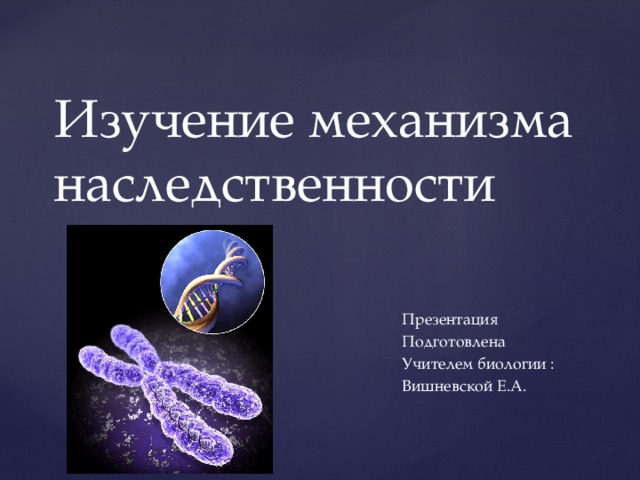 Изучение механизма наследственности Презентация Подготовлена Учителем биологии : Вишневской Е.А. 