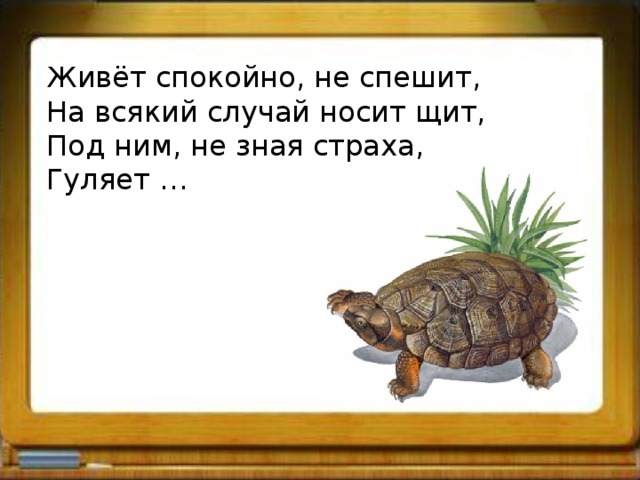 Живёт спокойно, не спешит, На всякий случай носит щит, Под ним, не зная страха, Гуляет … 