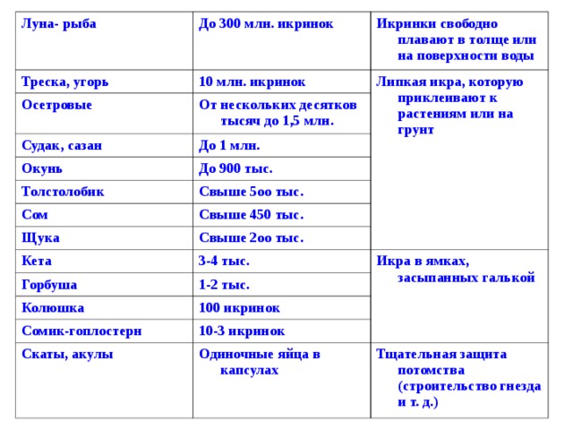 Луна- рыба До 300 млн. икринок Треска, угорь 10 млн. икринок Осетровые Икринки свободно плавают в толще или на поверхности воды От нескольких десятков тысяч до 1,5 млн. Судак, сазан Липкая икра, которую приклеивают к растениям или на грунт До 1 млн. Окунь До 900 тыс. Толстолобик Свыше 5оо тыс. Сом Свыше 450 тыс. Щука Свыше 2оо тыс. Кета 3-4 тыс. Горбуша Икра в ямках, засыпанных галькой 1-2 тыс. Колюшка 100 икринок Сомик-гоплостерн 10-3 икринок Скаты, акулы Одиночные яйца в капсулах Тщательная защита потомства (строительство гнезда и т. д.)