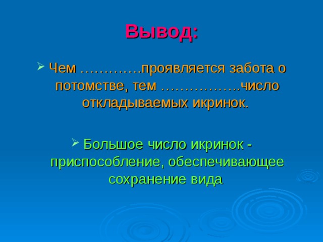 Вывод: