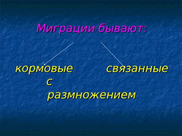 Миграции бывают:    кормовые  связанные с      размножением
