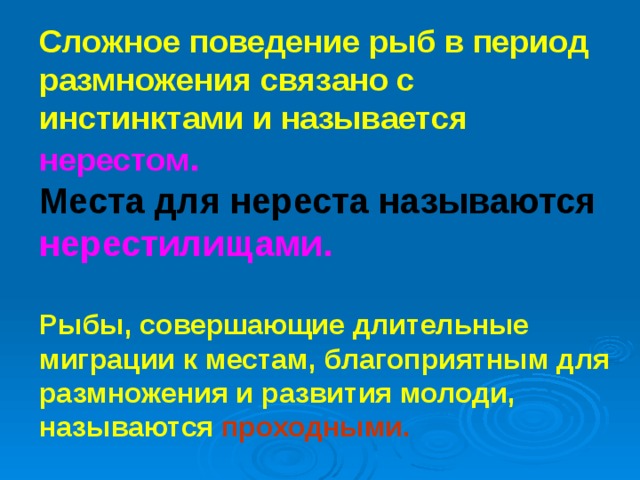 Сложное поведение рыб в период размножения связано с инстинктами и называется нерестом .  Места для нереста называются нерестилищами.  Рыбы, совершающие длительные миграции к местам, благоприятным для размножения и развития молоди, называются проходными.