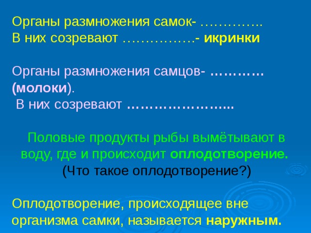 Органы размножения самок- ………….. В них созревают …………….- икринки Органы размножения самцов- ………… (молоки ).  В них созревают …………………... Половые продукты рыбы вымётывают в воду, где и происходит оплодотворение.  (Что такое оплодотворение?) Оплодотворение, происходящее вне организма самки, называется наружным.