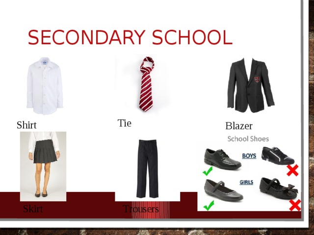 Secondary School Tie Shirt Blazer Skirt Trousers  