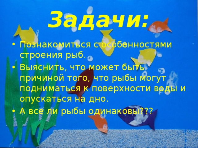 Задачи: Познакомиться с особенностями строения рыб. Выяснить, что может быть причиной того, что рыбы могут подниматься к поверхности воды и опускаться на дно. А все ли рыбы одинаковы??? 