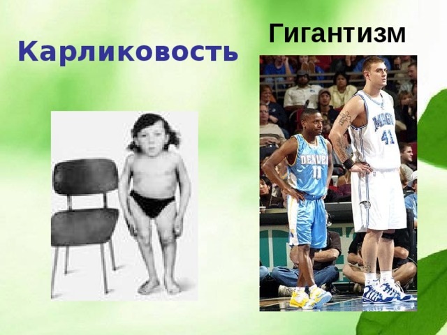 Норма Повышенная  функция Пониженная функция ЗАДНЯЯ  ДОЛ Я  Сокращение гладкой мускулатуры сосудов и матки. Реабсорбция воды в почке Уменьшение выведение жидкости с мочой Увеличение выведение жидкости с мочой Вазопрес-син, окситоцин  С Р Е Д Н Я Я  д О Л Я Интер- медин Распределение пигмента в коже Усиление пигментации Уменьшение пигментации 