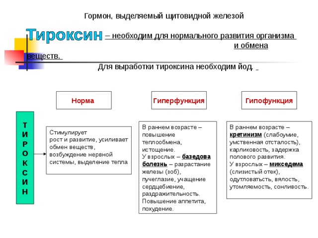 Щитовидная железа Расположена поверх щитовидного хряща. Строение: две доли, соединенные перемычкой и состоящие из пузырьков Йодсодержащие гормоны- тироксин, трийодтиронин и гормон кальцитонин Воздействие на организм : влияет на обмен веществ и энергии, регулирует потребность кислорода, стимулирует развитие органов и тканей( костной и нервной); содержание кальция в крови и костях Самая крупная эндокринная железа    