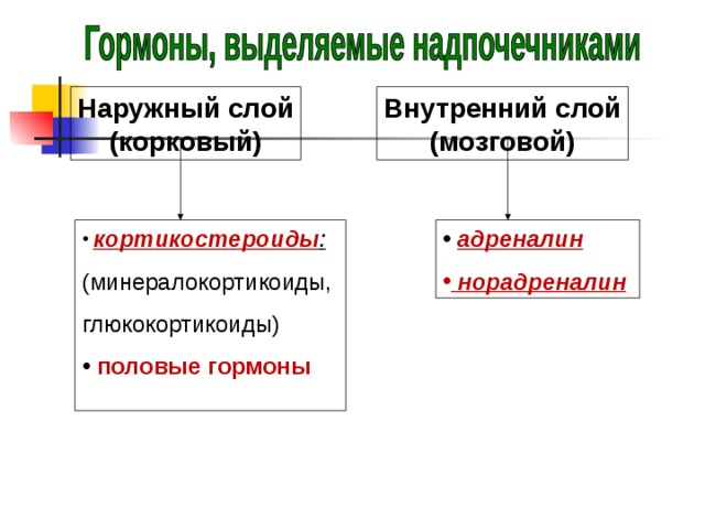 Надпочечники 