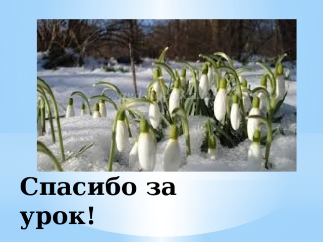 Спасибо за урок! 