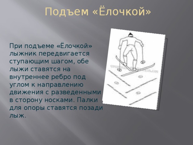 Подъем «Ёлочкой» Вставка рисунка При подъеме «Ёлочкой» лыжник передвигается ступающим шагом, обе лыжи ставятся на внутреннее ребро под углом к направлению движения с разведенными в сторону носками. Палки для опоры ставятся позади лыж. 