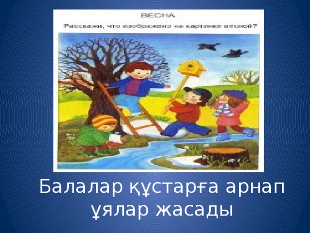 Балалар құстарға арнап ұялар жасады 