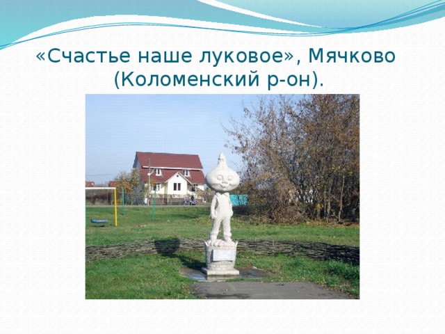 «Счастье наше луковое», Мячково  (Коломенский р-он). 