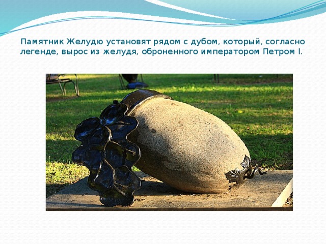 Памятник Желудю установят рядом с дубом, который, согласно легенде, вырос из желудя, оброненного императором Петром I.   