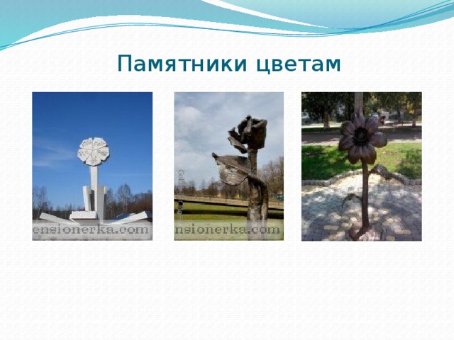 Памятники цветам   
