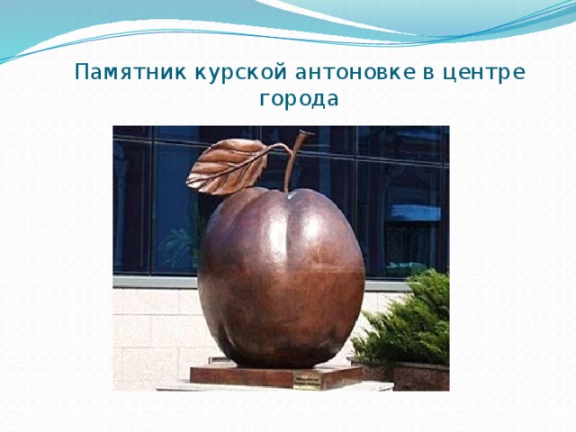 Памятник курской антоновке в центре города   