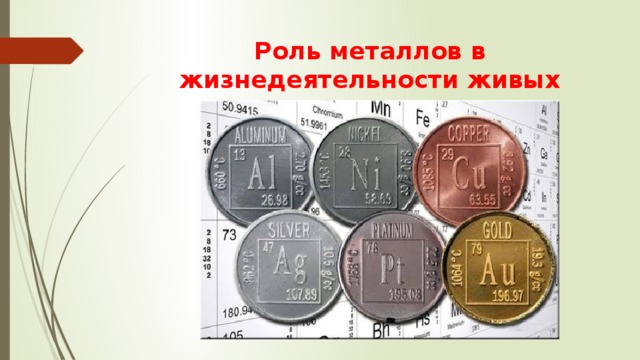 Роль металлов в жизнедеятельности живых организмов 