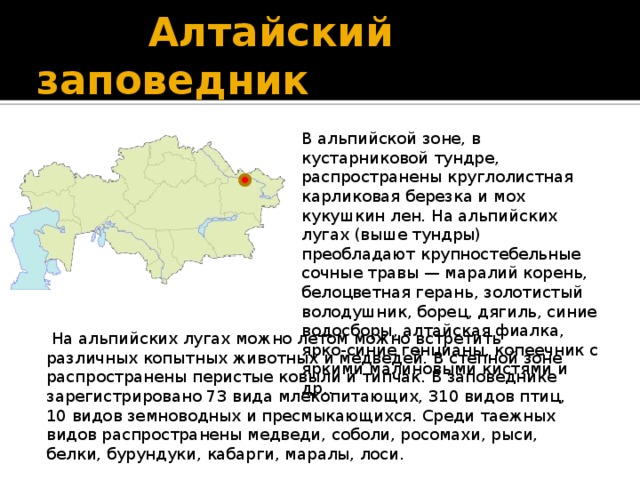  Алтайский  заповедник В альпийской зоне, в кустарниковой тундре, распространены круглолистная карликовая березка и мох кукушкин лен. На альпийских лугах (выше тундры) преобладают крупностебельные сочные травы — маралий корень, белоцветная герань, золотистый володушник, борец, дягиль, синие водосборы, алтайская фиалка, ярко-синие генцианы, копеечник с яркими малиновыми кистями и др..  На альпийских лугах можно летом можно встретить различных копытных животных и медведей. В степной зоне распространены перистые ковыли и типчак. В заповеднике зарегистрировано 73 вида млекопитающих, 310 видов птиц, 10 видов земноводных и пресмыкающихся. Среди таежных видов распространены медведи, соболи, росомахи, рыси, белки, бурундуки, кабарги, маралы, лоси. 