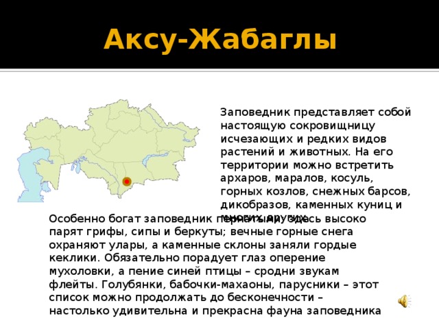 Аксу-Жабаглы Заповедник представляет собой настоящую сокровищницу исчезающих и редких видов растений и животных. На его территории можно встретить архаров, маралов, косуль, горных козлов, снежных барсов, дикобразов, каменных куниц и многих других. Особенно богат заповедник пернатыми: здесь высоко парят грифы, сипы и беркуты; вечные горные снега охраняют улары, а каменные склоны заняли гордые кеклики. Обязательно порадует глаз оперение мухоловки, а пение синей птицы – сродни звукам флейты. Голубянки, бабочки-махаоны, парусники – этот список можно продолжать до бесконечности – настолько удивительна и прекрасна фауна заповедника 