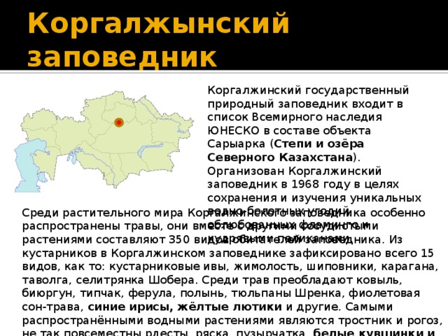 Коргалжынский заповедник Коргалжинский государственный природный заповедник входит в список Всемирного наследия ЮНЕСКО в составе объекта Сарыарка ( Степи и озёра Северного Казахстана ). Организован Коргалжинский заповедник в 1968 году в целях сохранения и изучения уникальных водно-болотных угодий, облюбованных фламинго и кудрявыми пеликанами. Среди растительного мира Коргалжинского заповедника особенно распространены травы, они вместе с другими сосудистыми растениями составляют 350 видов обитателей заповедника. Из кустарников в Коргалжинском заповеднике зафиксировано всего 15 видов, как то: кустарниковые ивы, жимолость, шиповники, карагана, таволга, селитрянка Шобера. Среди трав преобладают ковыль, биюргун, типчак, ферула, полынь, тюльпаны Шренка, фиолетовая сон-трава, синие ирисы, жёлтые лютики и другие. Самыми распространёнными водными растениями являются тростник и рогоз, не так повсеместны рдесты, ряска, пузырчатка, белые кувшинки и жёлтые кубышки . 