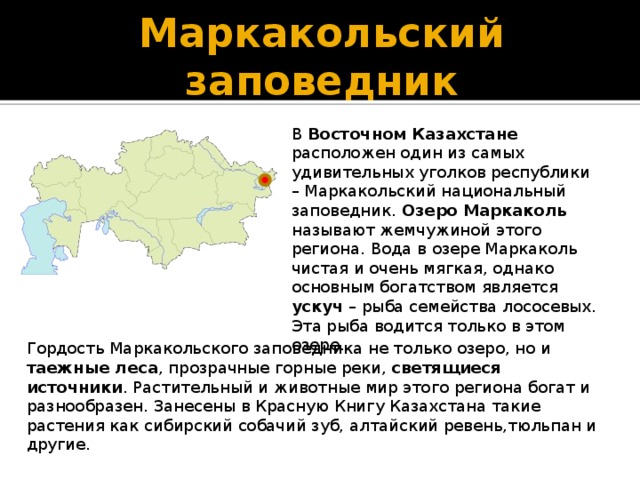 Маркакольский заповедник В Восточном Казахстане расположен один из самых удивительных уголков республики – Маркакольский национальный заповедник. Озеро Маркаколь называют жемчужиной этого региона. Вода в озере Маркаколь чистая и очень мягкая, однако основным богатством является ускуч – рыба семейства лососевых. Эта рыба водится только в этом озере. Гордость Маркакольского заповедника не только озеро, но и таежные леса , прозрачные горные реки, светящиеся источники . Растительный и животные мир этого региона богат и разнообразен. Занесены в Красную Книгу Казахстана такие растения как сибирский собачий зуб, алтайский ревень,тюльпан и другие. 