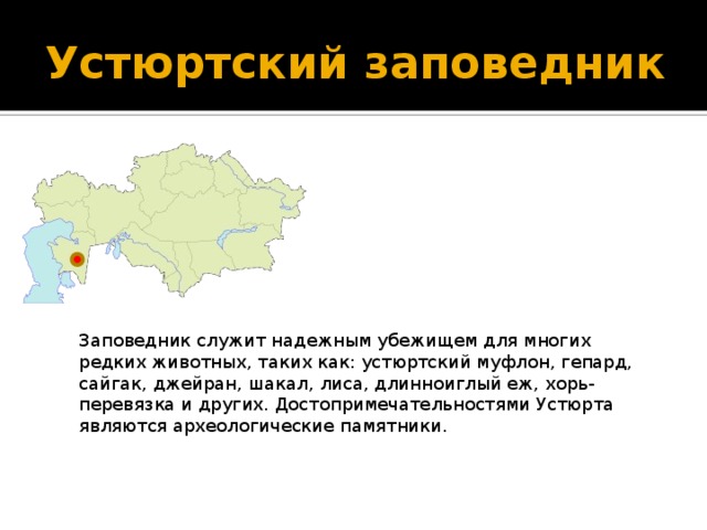 Устюртский заповедник Заповедник служит надежным убежищем для многих редких животных, таких как: устюртский муфлон, гепард, сайгак, джейран, шакал, лиса, длинноиглый еж, хорь-перевязка и других. Достопримечательностями Устюрта являются археологические памятники. 