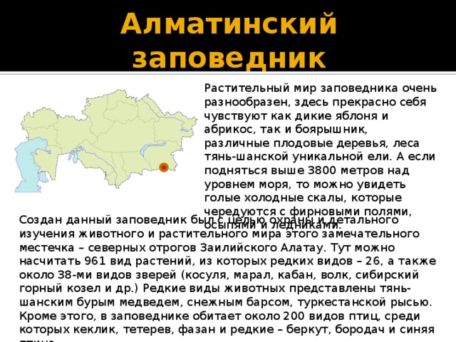 Алматинский заповедник Растительный мир заповедника очень разнообразен, здесь прекрасно себя чувствуют как дикие яблоня и абрикос, так и боярышник, различные плодовые деревья, леса тянь-шанской уникальной ели. А если подняться выше 3800 метров над уровнем моря, то можно увидеть голые холодные скалы, которые чередуются с фирновыми полями, осыпями и ледниками. Создан данный заповедник был с целью охраны и детального изучения животного и растительного мира этого замечательного местечка – северных отрогов Заилийского Алатау. Тут можно насчитать 961 вид растений, из которых редких видов – 26, а также около 38-ми видов зверей (косуля, марал, кабан, волк, сибирский горный козел и др.) Редкие виды животных представлены тянь-шанским бурым медведем, снежным барсом, туркестанской рысью. Кроме этого, в заповеднике обитает около 200 видов птиц, среди которых кеклик, тетерев, фазан и редкие – беркут, бородач и синяя птица. 