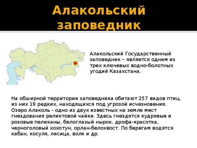 Алакольский заповедник Алакольский Государственный заповедник – является одним из трех ключевых водно-болотных угодий Казахстана. На обширной территории заповедника обитают 257 видов птиц, из них 19 редких, находящихся под угрозой исчезновения.  Озеро Алаколь - одно из двух известных на земле мест гнездования реликтовой чайки. Здесь гнездятся кудрявые и розовые пеликаны, белоглазый нырок, дрофа-красотка, черноголовый хохотун, орлан-белохвост. По берегам водятся кабан, косуля, лисица, волк и др. 