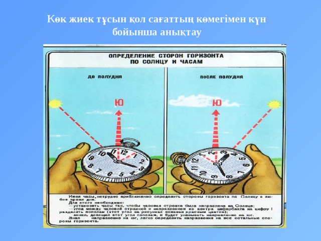Көк жиек тұсын қол сағаттың көмегімен күн бойынша анықтау 