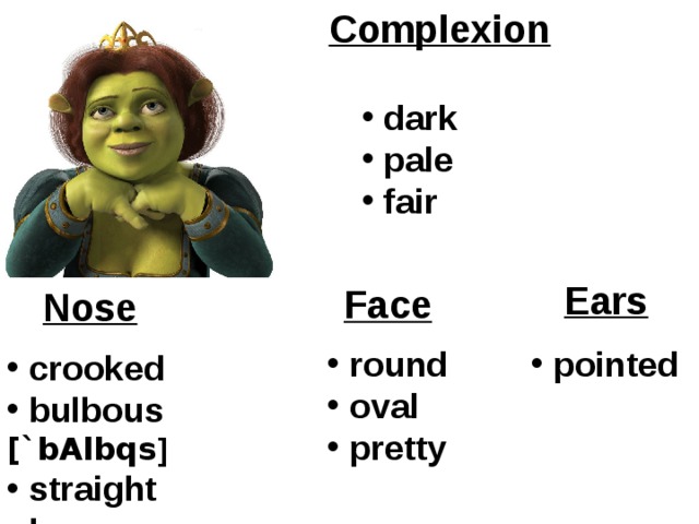 Complexion  dark  pale  fair  Ears Face Nose  round  oval  pretty  pointed   crooked  bulbous [`bAlbqs ]  straight  long 