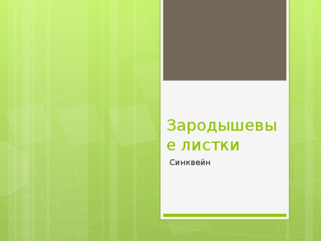 Зародышевые листки Синквейн 