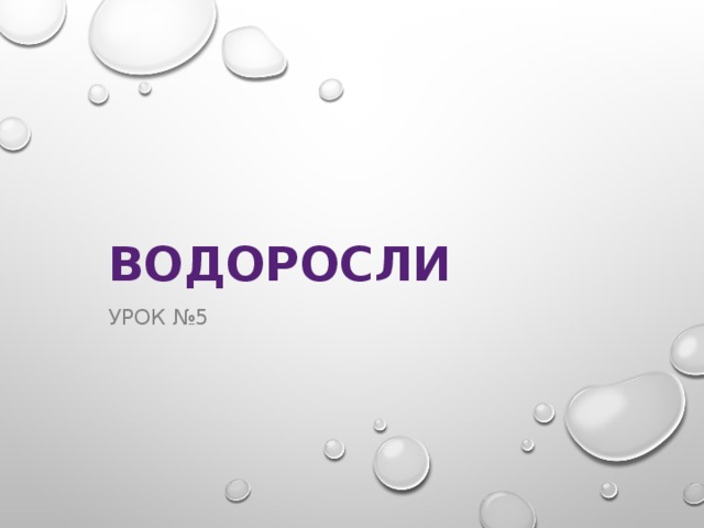 ВОДОРОСЛИ Урок №5 