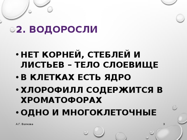 2. ВОДОРОСЛИ НЕТ КОРНЕЙ, СТЕБЛЕЙ И ЛИСТЬЕВ – ТЕЛО СЛОЕВИЩЕ В КЛЕТКАХ ЕСТЬ ЯДРО ХЛОРОФИЛЛ СОДЕРЖИТСЯ В ХРОМАТОФОРАХ ОДНО И МНОГОКЛЕТОЧНЫЕ А.Г. Волкова  