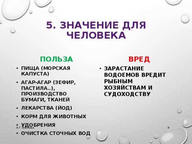 5. ЗНАЧЕНИЕ ДЛЯ ЧЕЛОВЕКА польза вред Пища (морская капуста) Агар-агар (зефир, пастила..), Производство бумаги, тканей Лекарства (йод) Корм для животных Удобрения Очистка сточных вод Зарастание водоемов вредит рыбным хозяйствам и судоходству А.Г. Волкова  