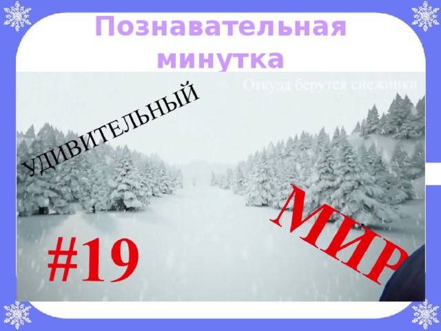 Познавательная минутка 