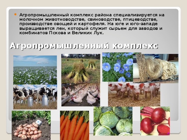 Агропромышленный комплекс района специализируется на молочном животноводстве, свиноводстве, птицеводстве, производстве овощей и картофеля. На юге и юго-западе выращивается лен, который служит сырьем для заводов и комбинатов Пскова и Великих Лук.  Агропромышленный комплекс 
