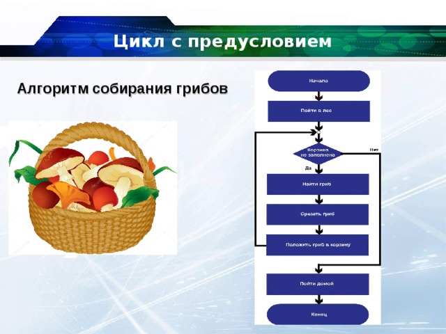 Цикл с предусловием Алгоритм собирания грибов 