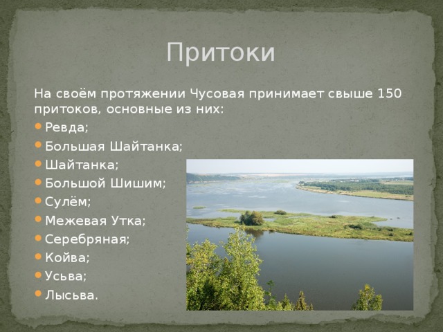 Притоки На своём протяжении Чусовая принимает свыше 150 притоков, основные из них: Ревда; Большая Шайтанка; Шайтанка; Большой Шишим; Сулём; Межевая Утка; Серебряная; Койва; Усьва; Лысьва. 