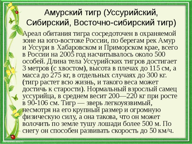 Амурский тигр (Уссурийский, Сибирский, Восточно-сибирский тигр) Ареал обитания тигра сосредоточен в охраняемой зоне на юго-востоке России, по берегам рек Амур и Уссури в Хабаровском и Приморском крае, всего в России на 2005 год насчитывалось около 500 особей. Длина тела Уссурийских тигров достигает 3 метров (с хвостом), высота в плечах до 115 см, а масса до 275 кг, в отдельных случаях до 300 кг. (тигр растет всю жизнь, и такого веса может достичь к старости). Нормальный взрослый самец уссурийца, в среднем весит 200—220 кг при росте в 90-106 см. Тигр — зверь легкоуязвимый, несмотря на его крупный размер и огромную физическую силу, а она такова, что он может волочить по земле тушу лошади более 500 м. По снегу он способен развивать скорость до 50 км/ч.  