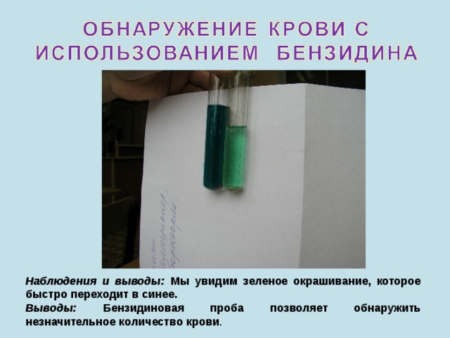 Наблюдения и выводы: Мы увидим зеленое окрашивание, которое быстро переходит в синее. Выводы: Бензидиновая проба позволяет обнаружить незначительное количество крови . 