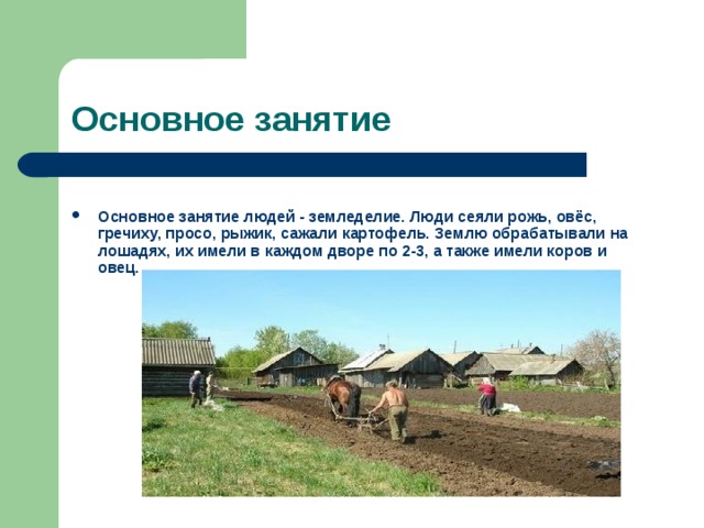 Основное занятие  Основное занятие людей - земледелие. Люди сеяли рожь, овёс, гречиху, просо, рыжик, сажали картофель. Землю обрабатывали на лошадях, их имели в каждом дворе по 2-3, а также имели коров и овец. 