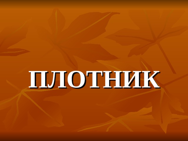 ПЛОТНИК 
