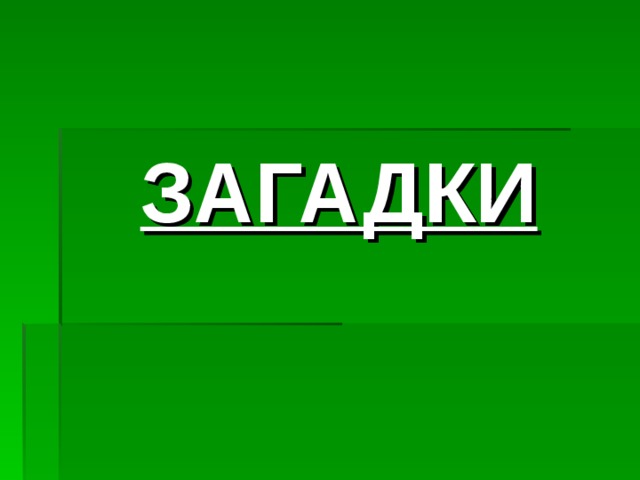 ЗАГАДКИ 