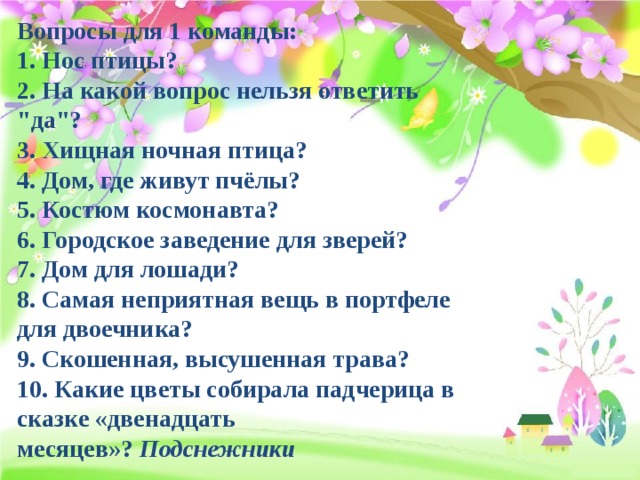 Вопросы для 1 команды:  1. Нос птицы? 2. На какой вопрос нельзя ответить 