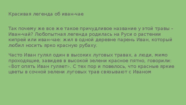 Красивая легенда об иван-чае Так почему же все же такое причудливое название у этой травы – Иван-чай? Любопытная легенда родилась на Руси о растении кипрей или иван-чае: жил в одной деревне парень Иван, который любил носить ярко красную рубаху. Часто Иван гулял один в высоких луговых травах, а люди, мимо проходящие, завидев в высокой зелени красное пятно, говорили: «Вот опять Иван гуляет». С тех пор и повелось, что красные яркие цветы в сочной зелени луговых трав связывают с Иваном 