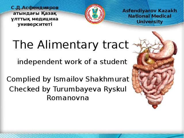 С.Д.Асфендияров атындағы Қазақ ұлттық медицина университеті Asfendiyarov Kazakh National Medical University The Alimentary tract independent work of a student Complied by Ismailov Shakhmurat Checked by Turumbayeva Ryskul Romanovna 